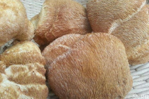 猴头菌有什么作用,猴头菇有什么营养价值