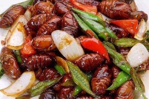 蚕蛹怎么炸好吃,蚕蛹怎么做能酥脆