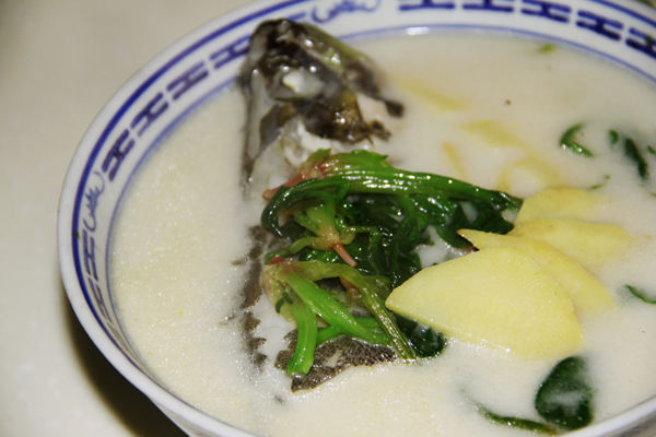 桂鱼汤怎么煮,桂鱼汤的做法大全窍门