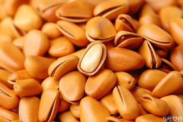 松子生长在哪里,松子产于哪个地方