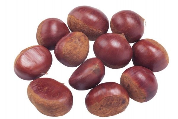 栗子的热量有多高,栗子的热量是多少大卡 栗子的热量有多高,栗子的热量是多少大卡