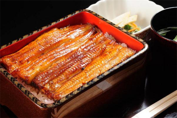 鳗鱼可以经常吃吗,鳗鱼能多吃吗