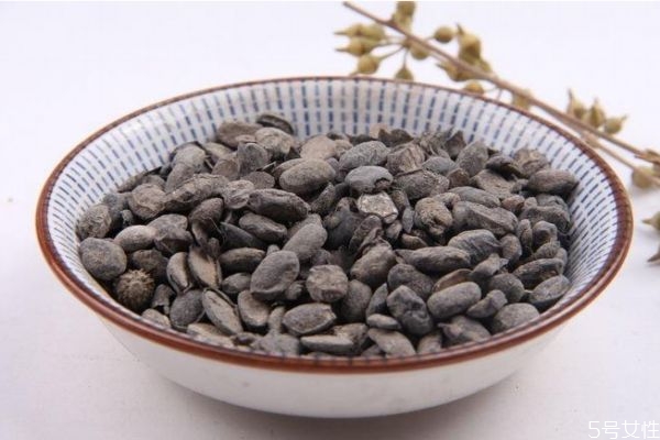 淡豆鼓的作用,淡豆鼓起什么作用