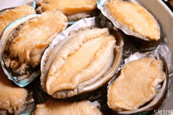 鲍鱼好吃吗?口感怎样,干鲍鱼怎么烹饪最好吃