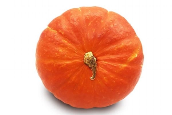 金瓜的种植方法和时间,金瓜种植时间及技术要点