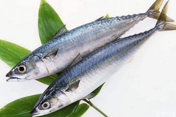 吃鲢鱼的好处和坏处,鲢鱼有什么功效有什么营养