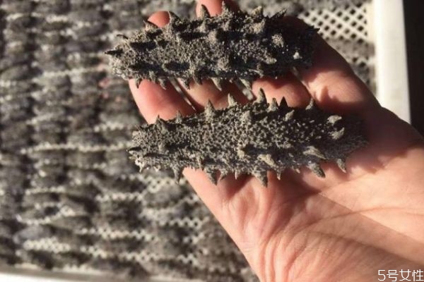 吃海参有什么禁忌吗,吃海参的好处和禁忌