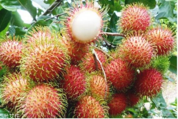 红毛丹怎么挑选,红毛丹怎么看好坏 红毛丹怎么挑选,红毛丹怎么看好坏