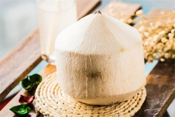 椰青不能和什么一起吃,椰青不可以和什么一起吃