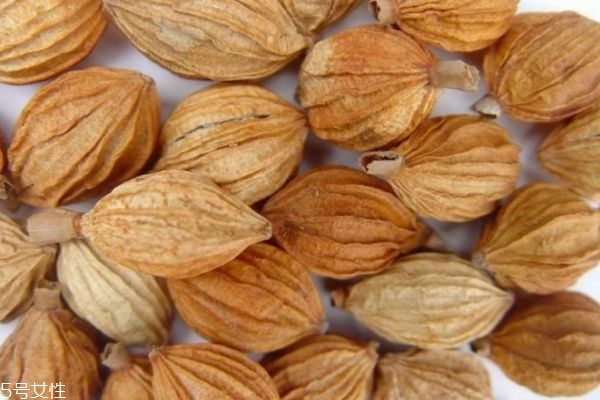 肉豆蔻的禁忌,肉豆蔻怎么吃