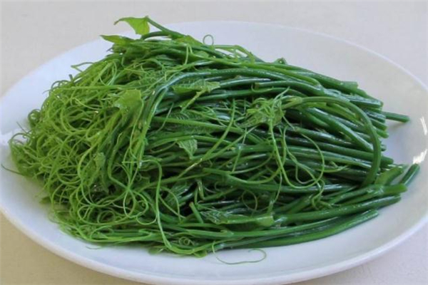龙须菜焯水多久合适,龙须菜焯水几分钟