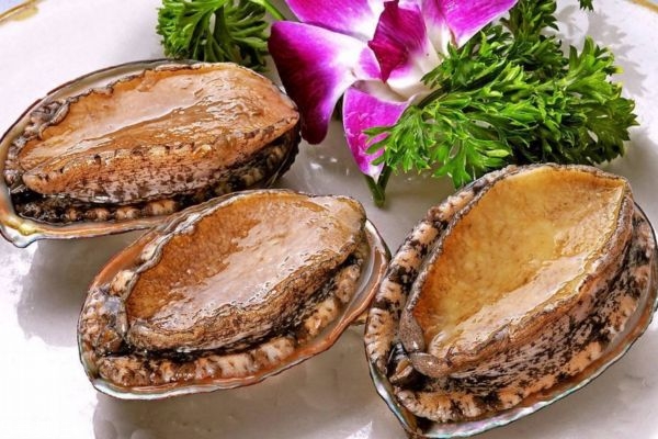 吃鲍鱼有什么好处呢,吃鲍鱼有啥好处 吃鲍鱼有什么好处呢,吃鲍鱼有啥好处