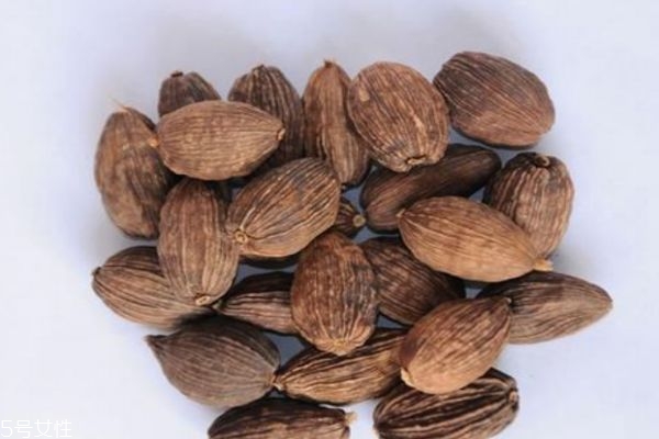 草果功效和作用和禁忌,草果的副作用和禁忌症