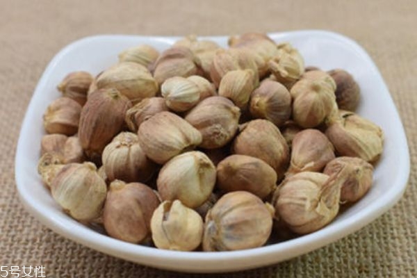 白豆蔻的功效和禁忌,白豆蔻的食用方法 白豆蔻的功效和禁忌,白豆蔻的食用方法