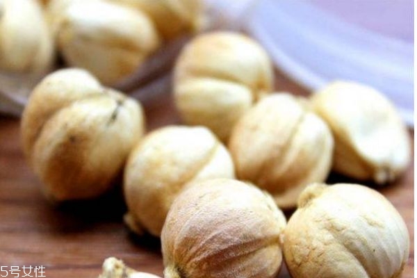 白豆蔻有什么作用,白豆蔻的药用价值