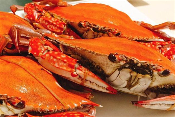 梭子蟹肉吃起来粉粉的什么情况,梭子蟹的肉吃起来粉粉的