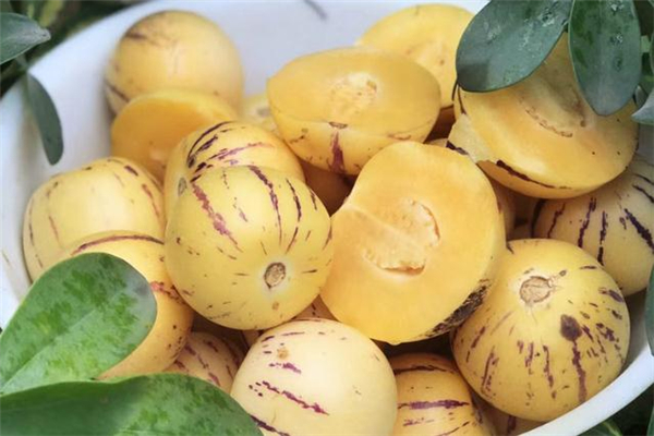 人参果吃多了会怎样?,吃人参果吃多了会怎样