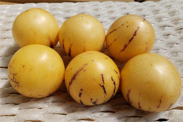 人参果要放软才能吃吗?,人参果需要放软了吃吗