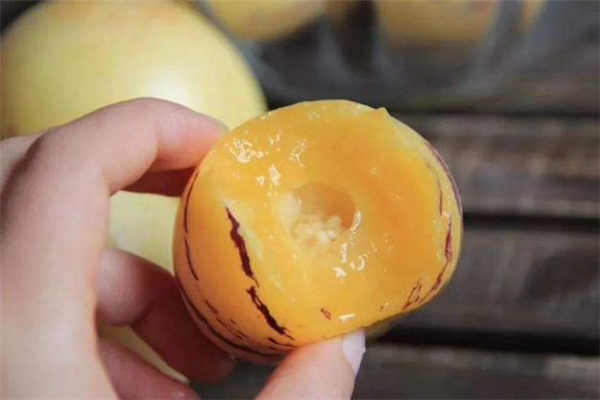 人参果怎么保存时间长,人参果怎么保存可以放得更久 人参果怎么保存时间长,人参果怎么保存可以放得更久