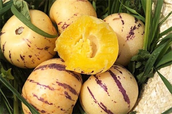 人参果食用禁忌,人参果的吃法及禁忌