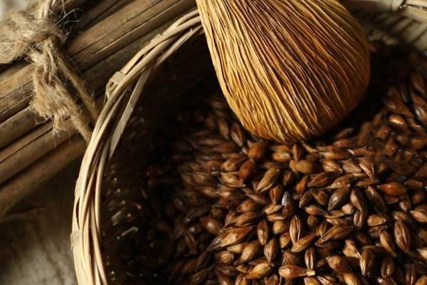 大麦茶什么人不宜喝,哪些人不宜喝大麦茶