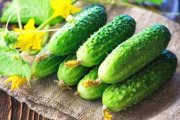黄瓜可以和什么一起榨汁减肥效果好,黄瓜可以和什么一起榨汁