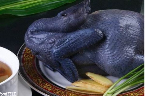 乌骨鸡的营养价值,乌骨鸡的营养