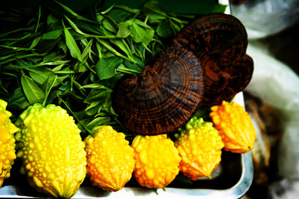 金铃子的营养价值,金铃子的营养价值和功效