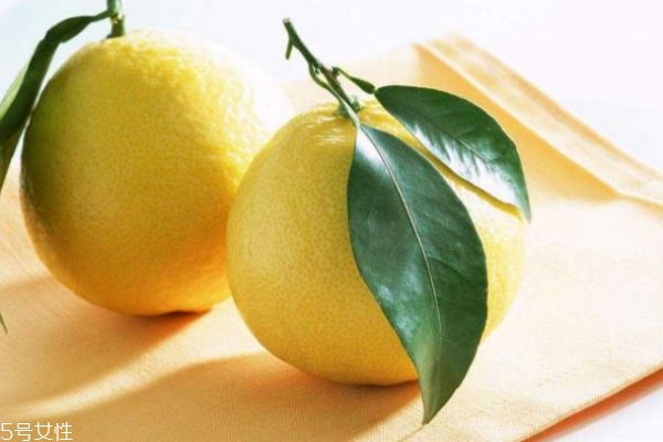 什么柚子品种最好吃又甜,买柚子挑什么样的甜 什么柚子品种最好吃又甜,买柚子挑什么样的甜