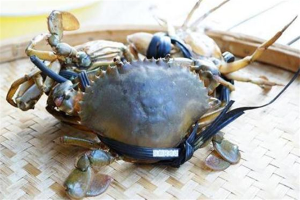 青蟹容易掉脚什么原因,青蟹自己断脚是什么原因