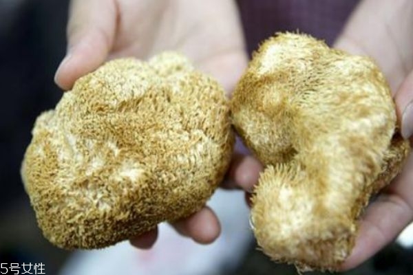 猴头菇吃法和要注意,吃猴头菇的禁忌和注意