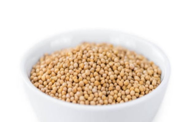 白芥子能吃吗,白芥子的禁忌 白芥子能吃吗,白芥子的禁忌