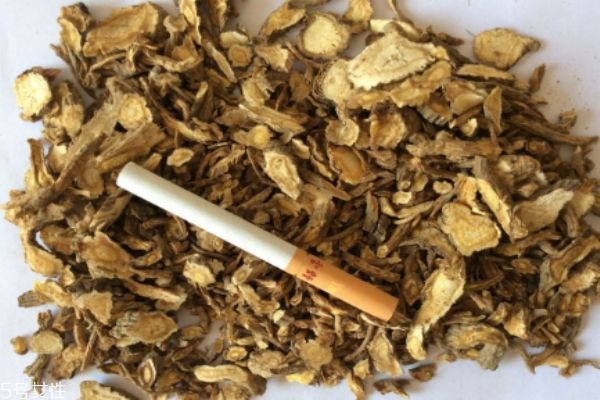 前胡的功效和禁忌,前胡能直接吃吗 前胡的功效和禁忌,前胡能直接吃吗