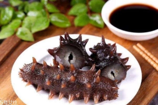 天天吃海参的好处,海参用途