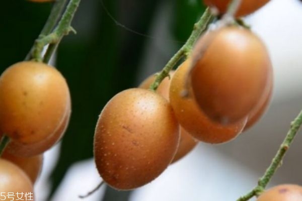 吃黄皮的好处,黄皮吃了有什么好处和坏处