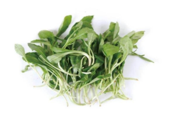 马兰头的营养价值,马兰头有什么功效和作用 马兰头的营养价值,马兰头有什么功效和作用