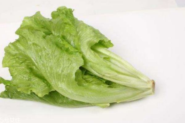 白莴苣的功效和作用,白苣子的作用和功效 白莴苣的功效和作用,白苣子的作用和功效