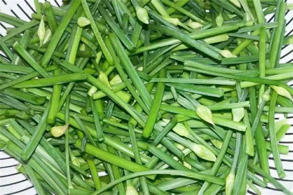 吃韭菜花上火吗,吃韭菜花会上火吗