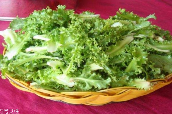 银丝菜的功效和作用,金丝菜的营养价值