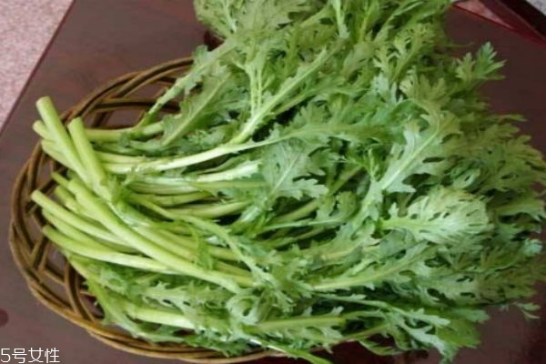 现在市场茼蒿菜价格,茼蒿市场价多少钱一斤 现在市场茼蒿菜价格,茼蒿市场价多少钱一斤