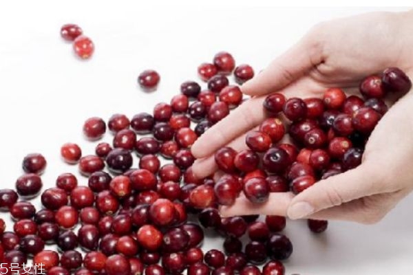 吃蔓越莓的好处,吃蔓越莓有什么好处和坏处