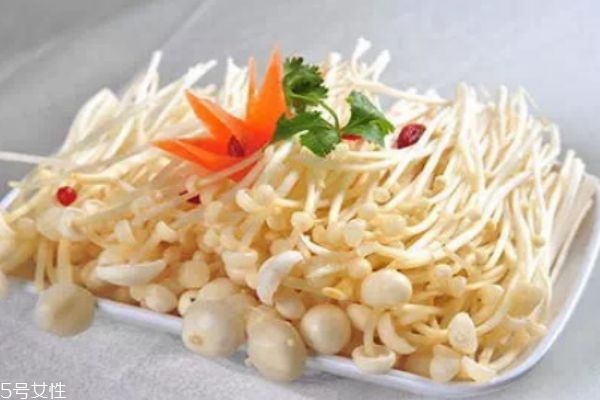 金针菇适合在什么环境下生长,金针菇在什么地方生长 金针菇适合在什么环境下生长,金针菇在什么地方生长