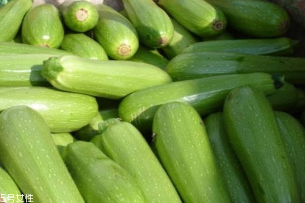 笋瓜的营养价值,笋瓜营养成分和功效