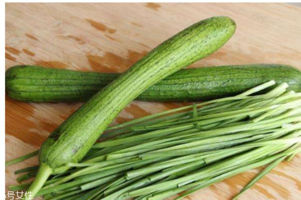 丝瓜的生长环境,丝瓜在什么温度下最容易生长 丝瓜的生长环境,丝瓜在什么温度下最容易生长