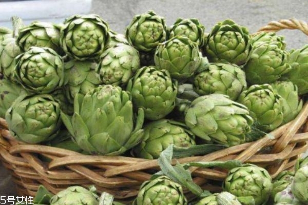 朝鲜蓟有什么功效,朝鲜蓟的副作用 朝鲜蓟有什么功效,朝鲜蓟的副作用