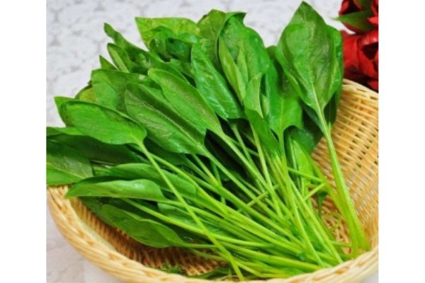 菠菜一般多少钱一斤,菠菜什么价格