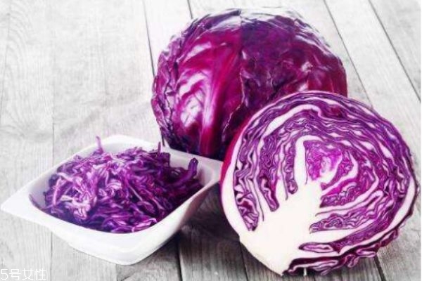 紫甘蓝生长温度和条件,紫甘蓝适合在什么地方种植