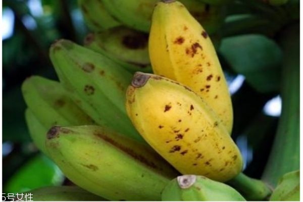芭蕉不适合吃人群,哪些人不能吃芭蕉