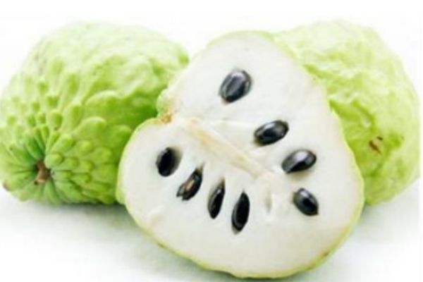 哪些人不能吃释迦果,什么人不适合吃释迦果 哪些人不能吃释迦果,什么人不适合吃释迦果