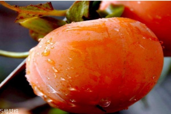 柿子的热量是多少,柿子热量多少千卡